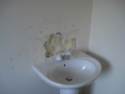 image11